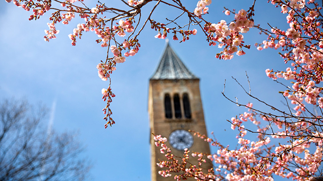 McGraw Tower in the spring.